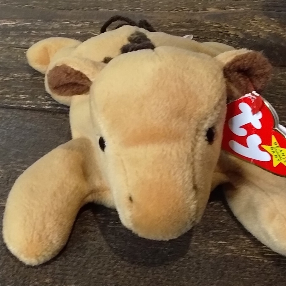 Derby Beanie baby